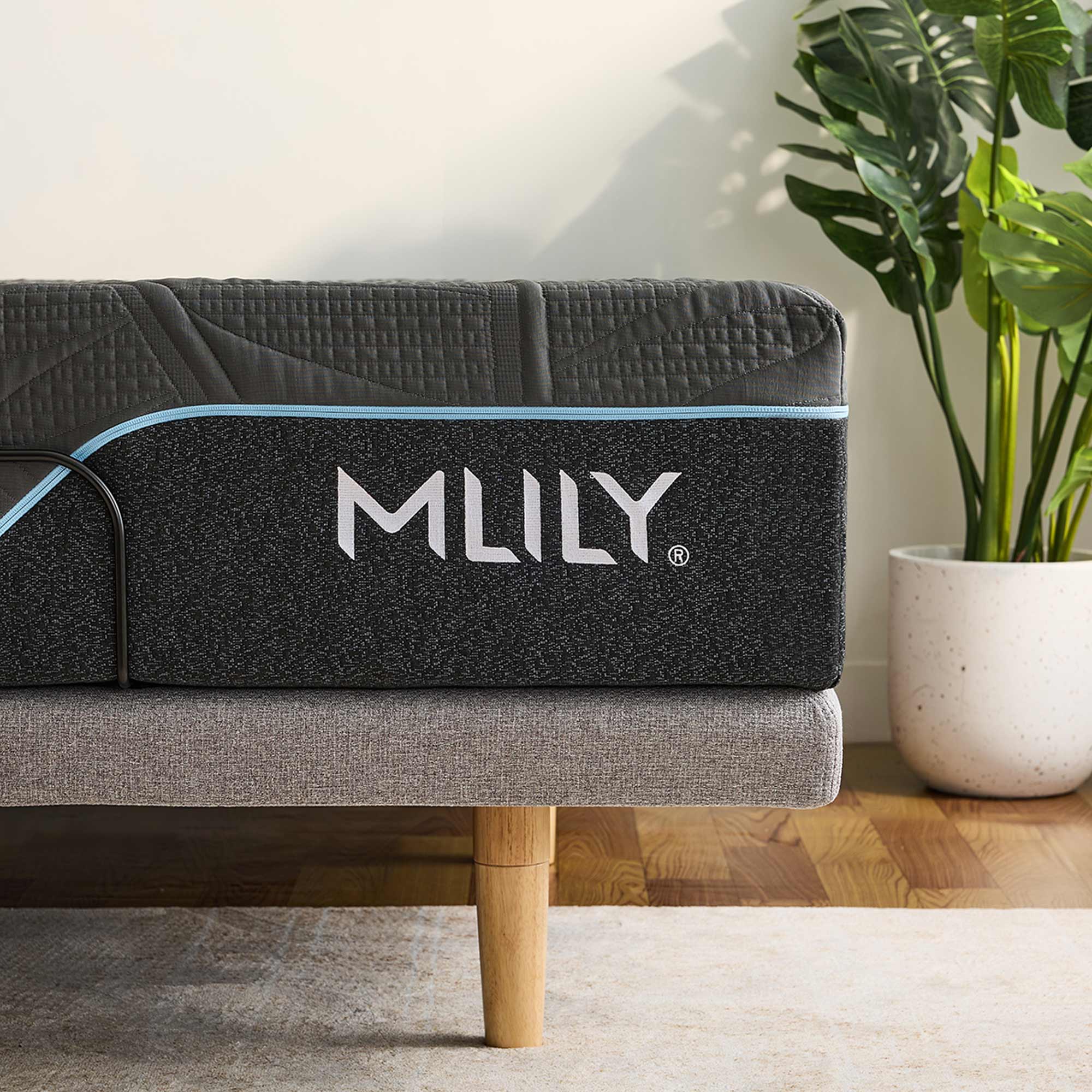Product image of the  Mlily Irecover Ultimate Adjustable Base Qb from Forty Winks